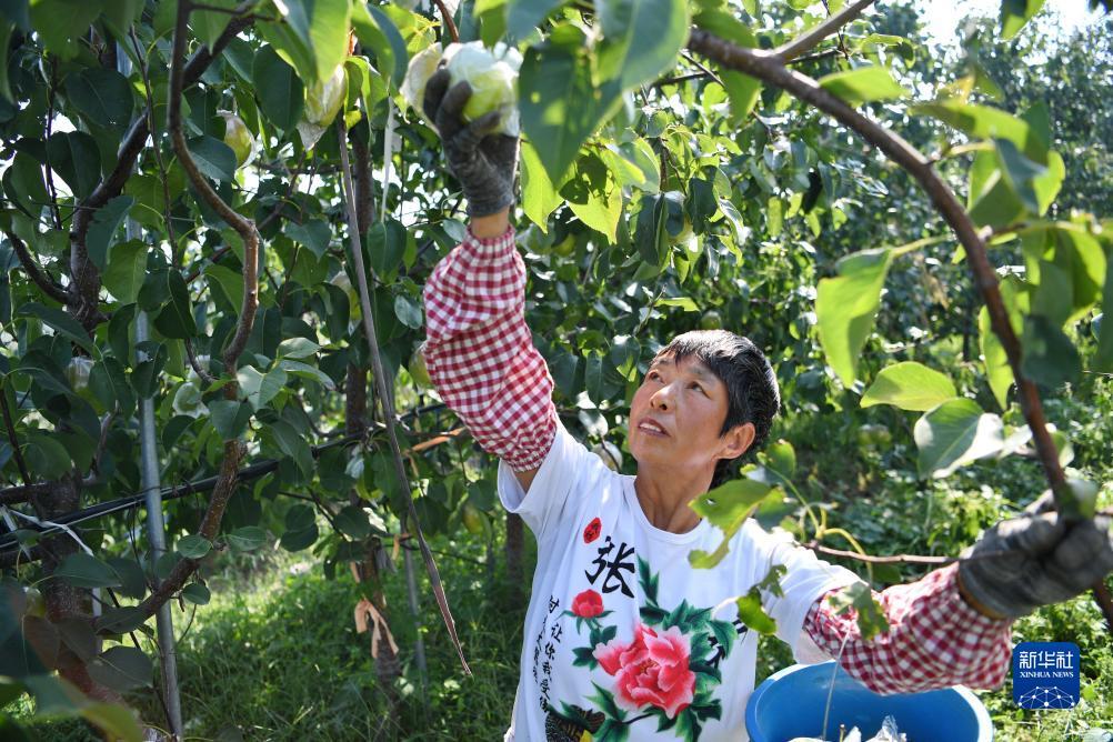 大奖网彩票